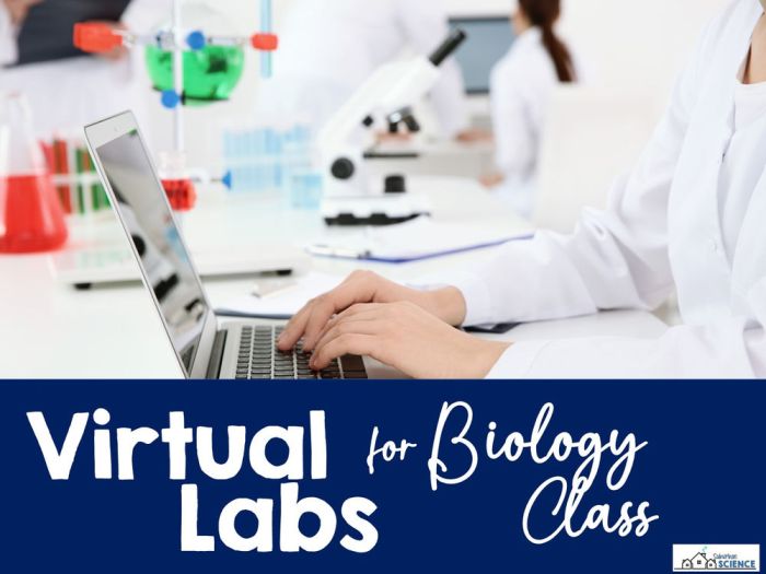 Barnacle competition virtual biology lab