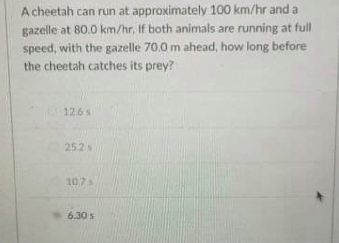 A cheetah can run at approximately 100 km/hr