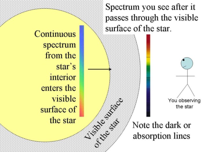 Gizmo star spectra answer key