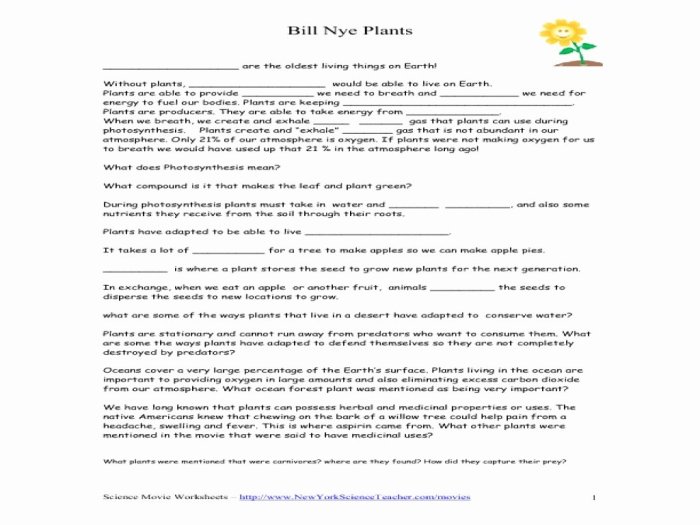 Bill nye the science guy biodiversity worksheet