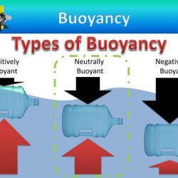 If an object is neutrally buoyant in fresh water