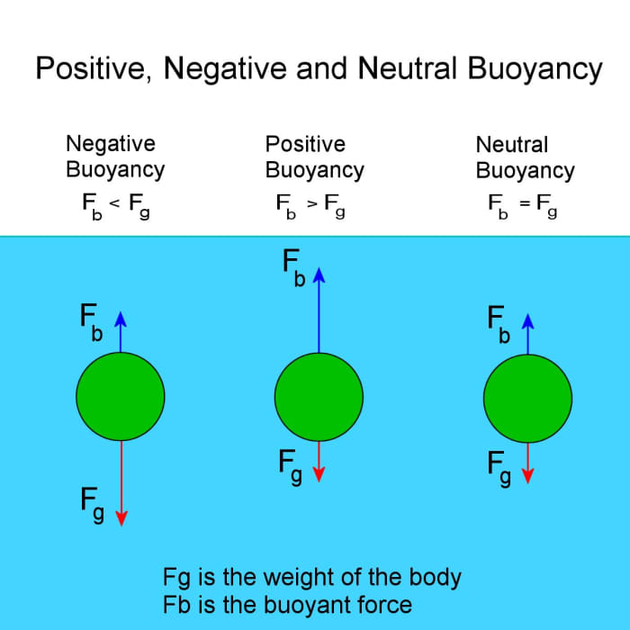 If an object is neutrally buoyant in fresh water